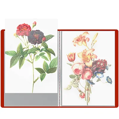 Porte-vues A4 60 vues – Protège-documents 30 pochettes souple - Rouge - Protèges-documents, Porte-vues