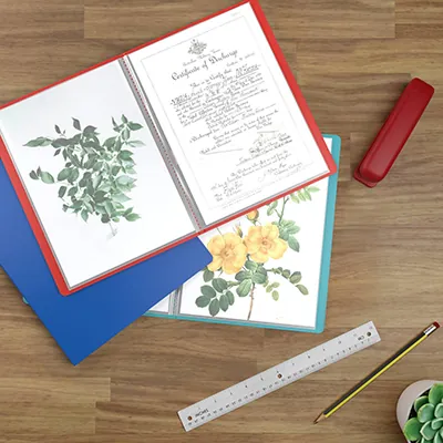 Porte-vues A4 80 vues – Protège-documents 40 pochettes souple - Rouge - Protèges-documents, Porte-vues-2