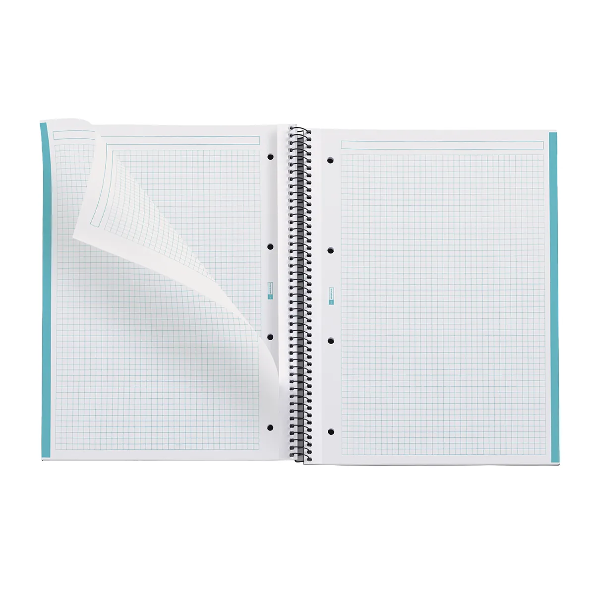 Bloc note Notebook A4 Eco Emotion 80F Quadrillé 5x5 - Bleu - Cahiers et blocs notes-1