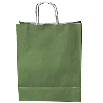 Sacs kraft vert tilleul à poignées torsadées 24+12x31cm 90g/m² (x50) - Sacs kraft couleur poignées torsadées-1