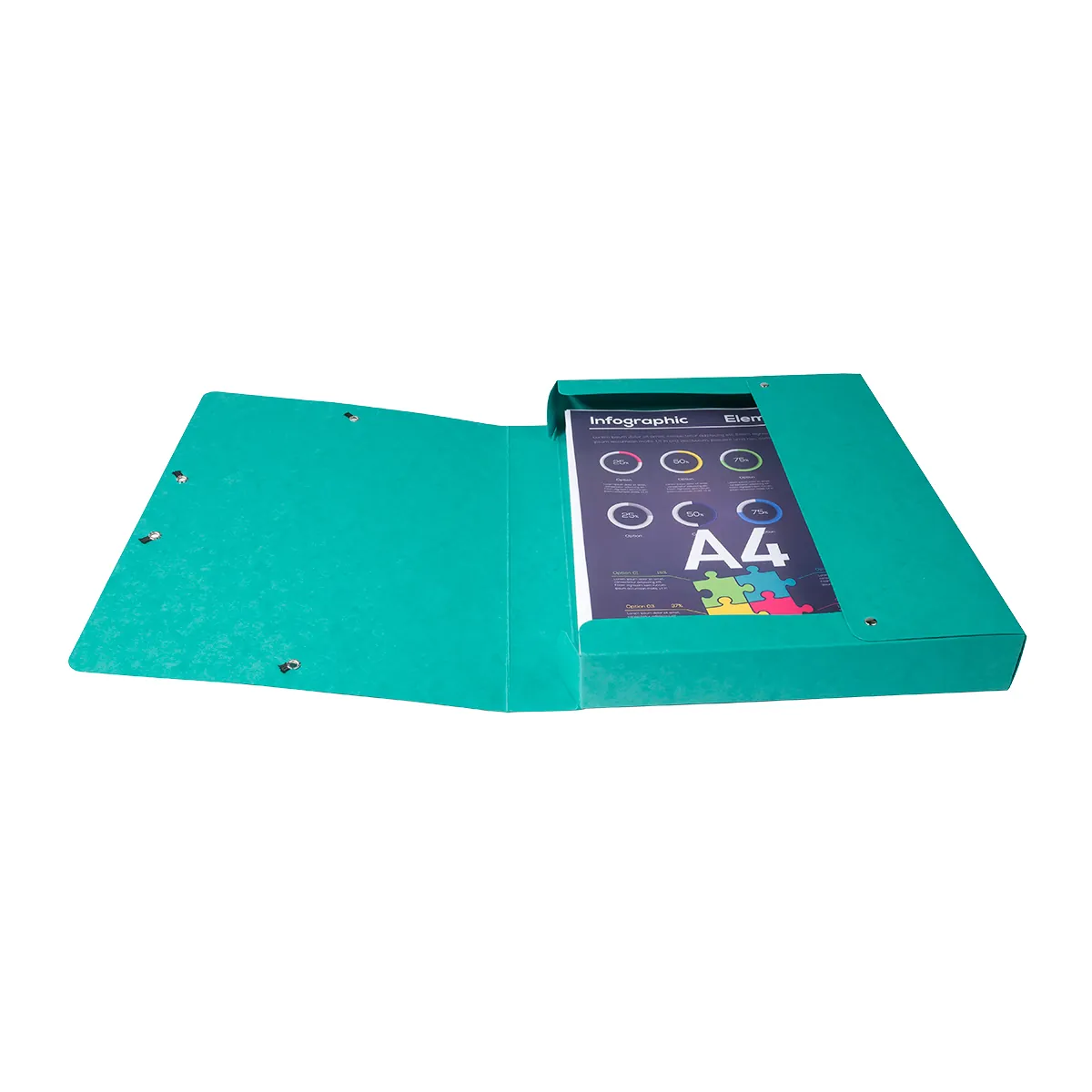 Boîte de classement A4 Dos 40 mm fermeture élastique carte lustrée Exabox - Vert - Boîtes archives, Boîtes de transfert-2