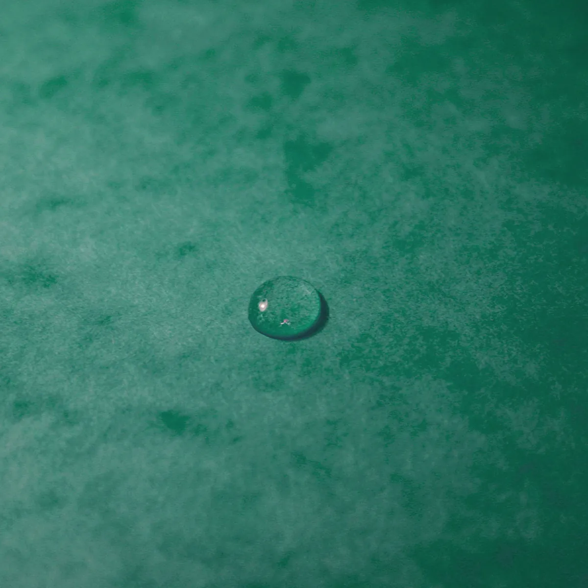 Boîte de classement A4 Dos 40 mm fermeture élastique carte lustrée Exabox - Vert - Boîtes archives, Boîtes de transfert-4