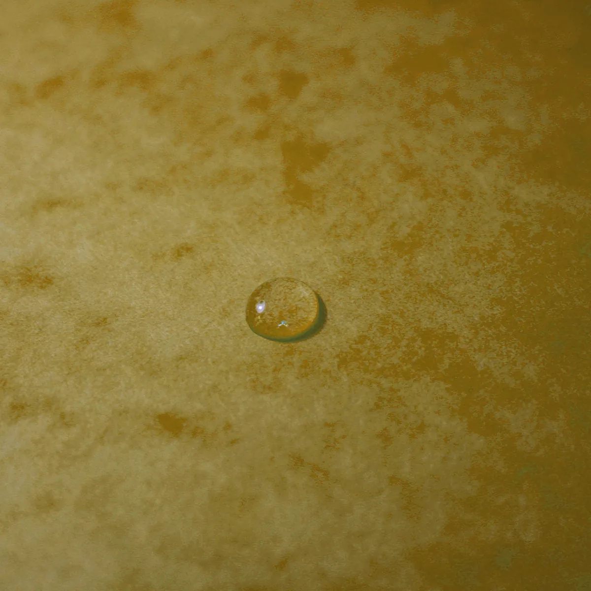 Boîte de classement A4 Dos 40 mm fermeture élastique carte lustrée Exabox - Jaune - Boîtes archives, Boîtes de transfert-4