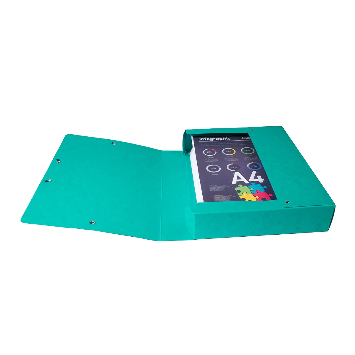Boîte de classement A4 Dos 60 mm fermeture élastique carte lustrée Exabox - Vert - Boîtes archives, Boîtes de transfert-2