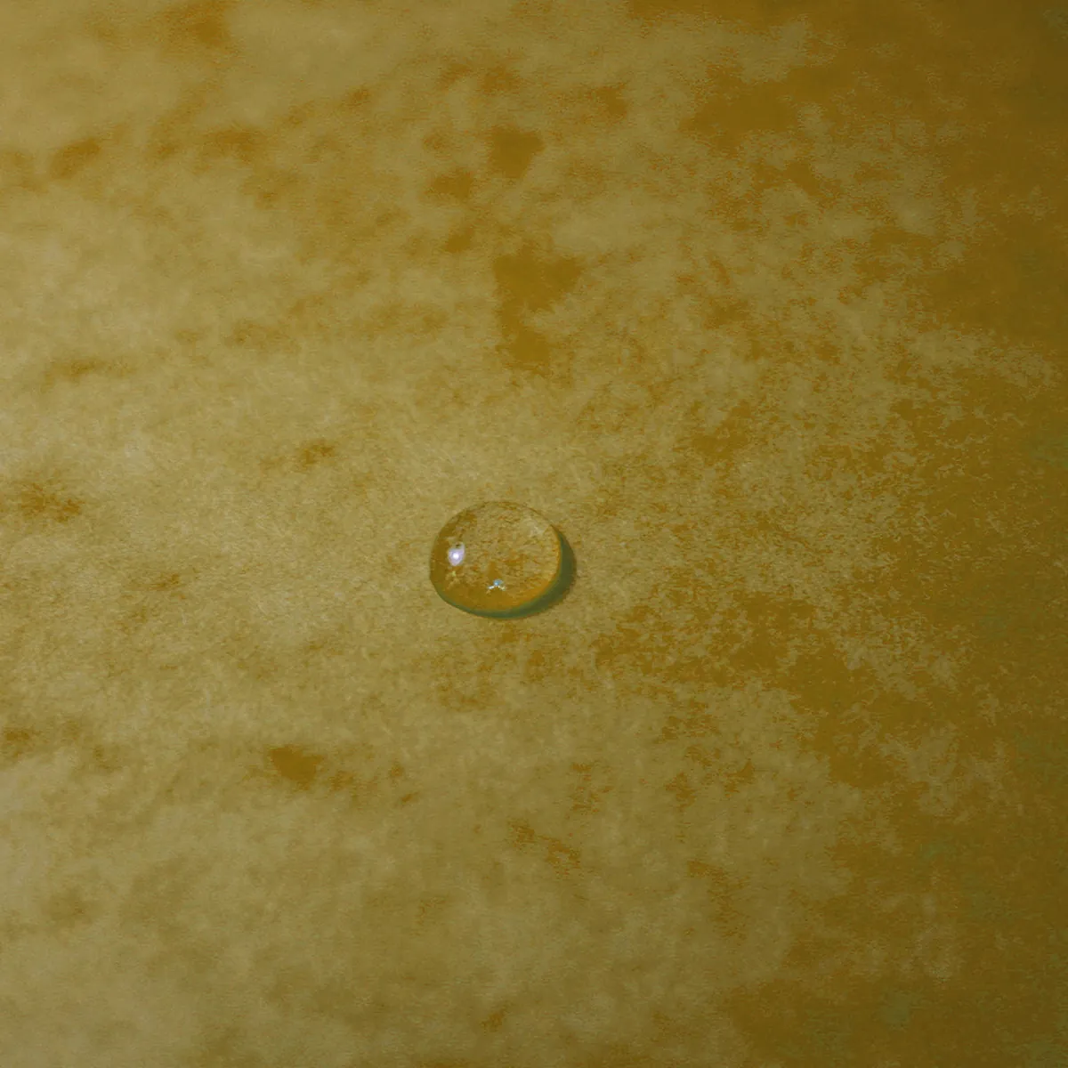 Boîte de classement A4 Dos 60 mm fermeture élastique carte lustrée Exabox - Jaune - Boîtes archives, Boîtes de transfert-4