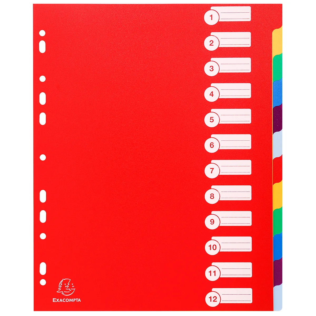Intercalaires A4 maxi 12 positions Onglets inscriptibles Polypropylène Opaque Semi-Rigide - Exacompta - Intercalaires classeur, Trieurs documents