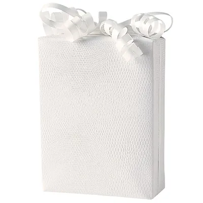 Papier cadeau texturé Lézard - Papiers cadeaux à effets-2