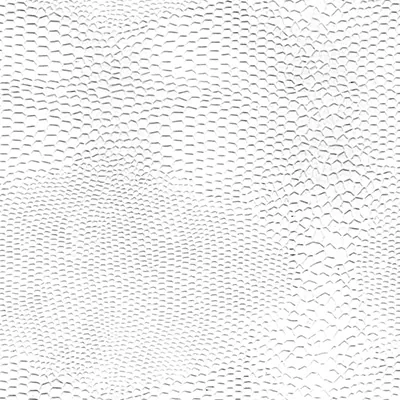 Papier cadeau texturé Lézard - Papiers cadeaux à effets