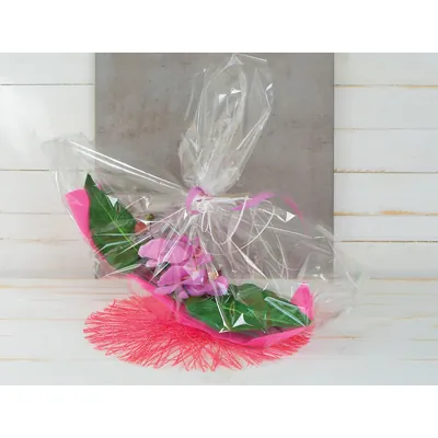 Film fleuriste - Film polypropylène transparent neutre 35µ 35 cm x 120 m - Films polypropylène neutres-1