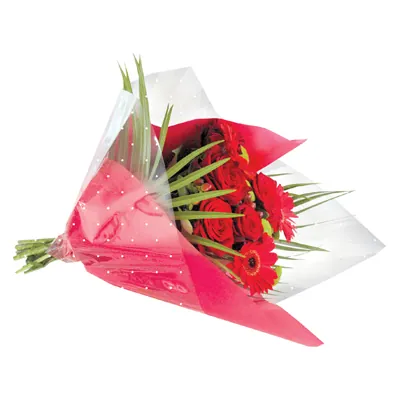 Film fleuriste - Film polypropylène pois blancs 80 cm x 120 m 35µ - Films polypropylène à motifs-2