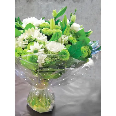 Film fleuriste - Film polypropylène pois blancs 80 cm x 120 m 35µ - Films polypropylène à motifs-3