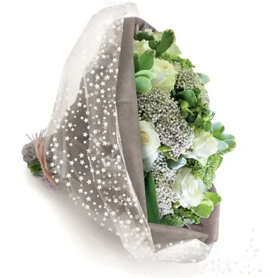 Film fleuriste - Film polypropylène Étoiles blanches 80 cm x 120 m 35 µ - Films polypropylène à motifs-2