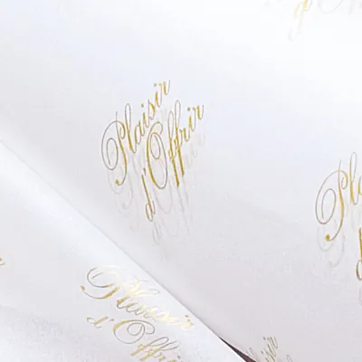 Papier de soie blanc imprimé or Plaisir d'offrir 18g/m² 50 x 75 cm, 120 feuilles - Papiers de soie-2
