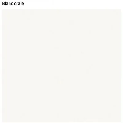 Caisson bois blanc avec tablette réglable 59,7 x 60 x 65 cm ép. 19 mm - Comptoirs Square 25-1