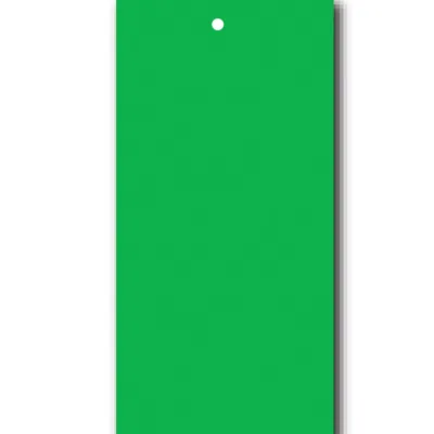Étiquettes à trou papier cartonné pour pistolet textile 50 x 100 mm, Vert - Lot de 250