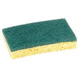 Éponges végétales + cello