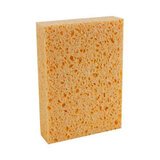 Éponges végétales