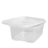 Barquette plastique avec couvercle séparé 500 ml 13,1 x 10,3 x 6,5 cm - Lot de 25
