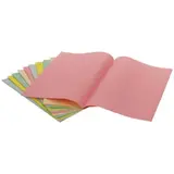 Sous-chemise A4 60g 22 x 31 cm Exacompta - coloris assortis pastel - Lot de 250