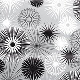Papier cadeau Bijou Végétal noir couche blanc 70 cm x 100 m 60 g/m² – Le rouleau - Papiers cadeaux à motifs