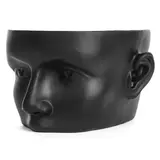 Présentoir à lunettes