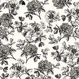 Papier cadeau fleurs dessinées noir & blanc 70 cm x 50 m 80 g/m² – Le rouleau