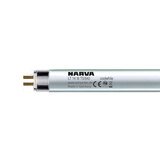 Tube fluorescent T5 G5, 14 watts - Ampoules