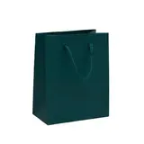 Sacs pelliculés bleu wendy mat - Petit Modèle