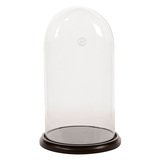 Cloche en verre avec socle - Supports et Cloches en verre