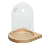 Cloche et socle - Supports et Cloches en verre