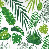 Papier cadeau Tropical - Papiers cadeaux Estival