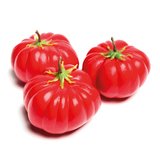 Tomates artificielles