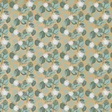 Papier cadeau kraft brun/vert/blanc Eucalyptus 70 cm x 50 m 60g/m²