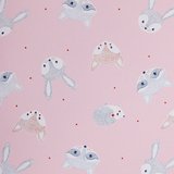 Papier cadeau Racoons rose - 70 cm x 50 m - Le rouleau