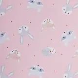 Papier cadeau Racoons rose - 70 cm x 50 m - Le rouleau