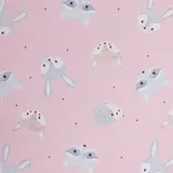 Papier cadeau Racoons rose - 70 cm x 50 m - Le rouleau