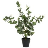 Eucalyptus artificiel en pot plastique - Plantes et fleurs artificielles