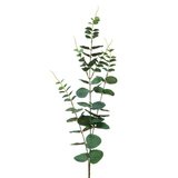 Branche d'eucalyptus - Plantes et fleurs artificielles