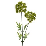 Fleur Queen Anne synthétique - Plantes et fleurs artificielles