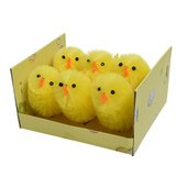 Poussins en chenille