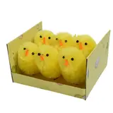 Poussins en chenille