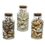 Bouteille de coquillages