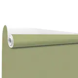 Papier cadeau kraft vergé vert tilleul uni 70 cm x 100 m 60 g/m² – le rouleau