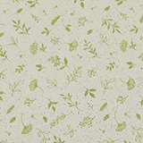 Papier cadeau Herbier Jane