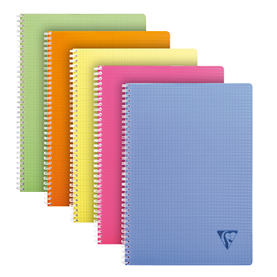 Carnet reliure intégrale Linicolor - 21 x 29,7 cm - petits carreaux 5x5 mm - Cahiers et blocs notes