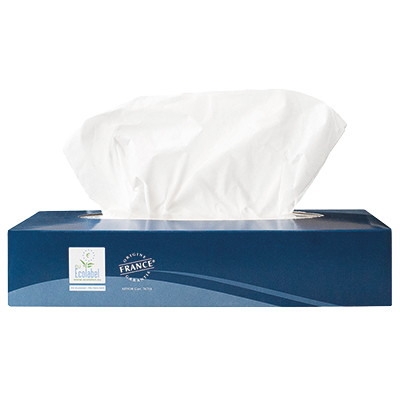 Boîte de 100 mouchoirs blancs extra doux 2 plis – 100% cellulose, Écolabel, traitement anti-humidité, double ouverture - Papier toilette et mouchoirs