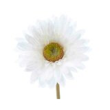 Gerbera Blanc - Plantes et fleurs artificielles