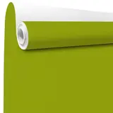 Papier cadeau kraft vergé vert anis uni 70 cm x 100 m 60 g/m² – le rouleau
