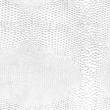 Papier cadeau texturé Lézard - Papiers cadeaux à effets