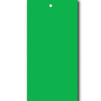 Étiquettes à trou papier cartonné pour pistolet textile 50 x 100 mm, Vert - Lot de 250 - Étiquettes à trou